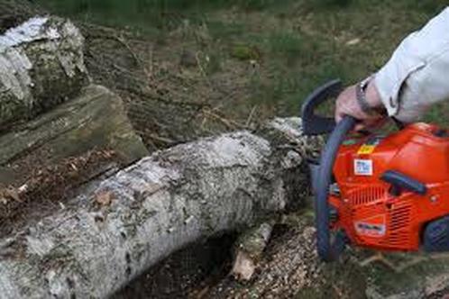 chainsaw doing tree removal in birkdale qld