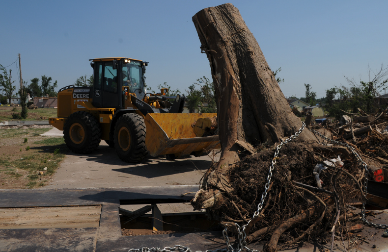 stump removal western suburbs brisbane 